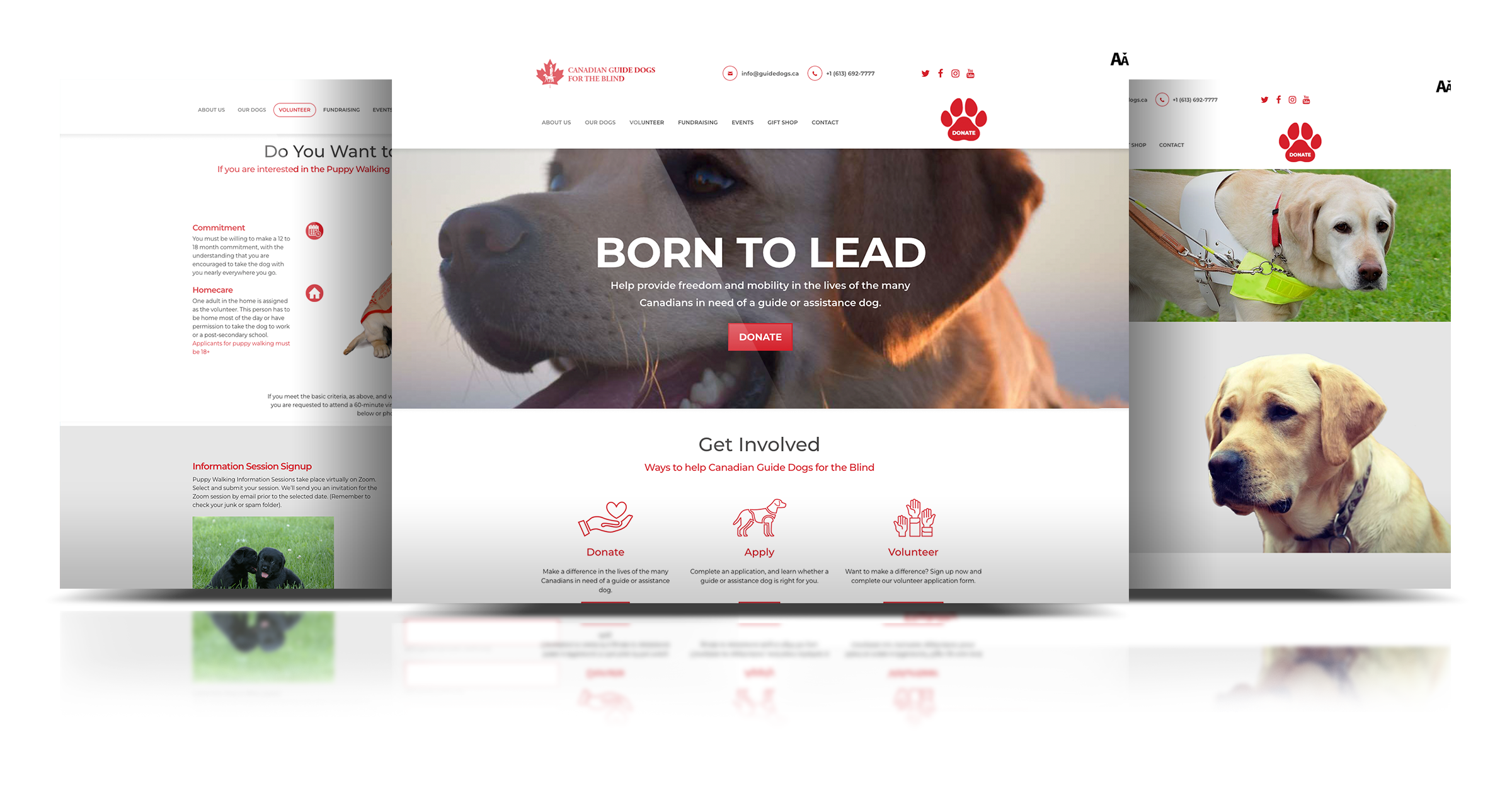 A three tiered website mockup of the Guide Dogs website